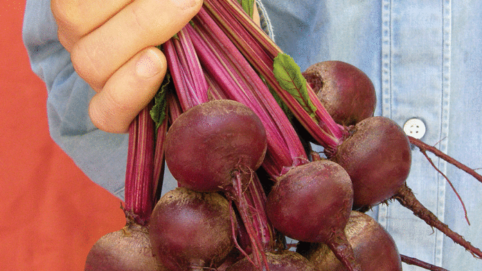 Home & Garden Magazine 2017