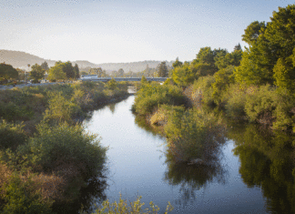 Studying the San Lorenzo River and Keeping Pollutants Out San Lorenzo River Santa Cruz
