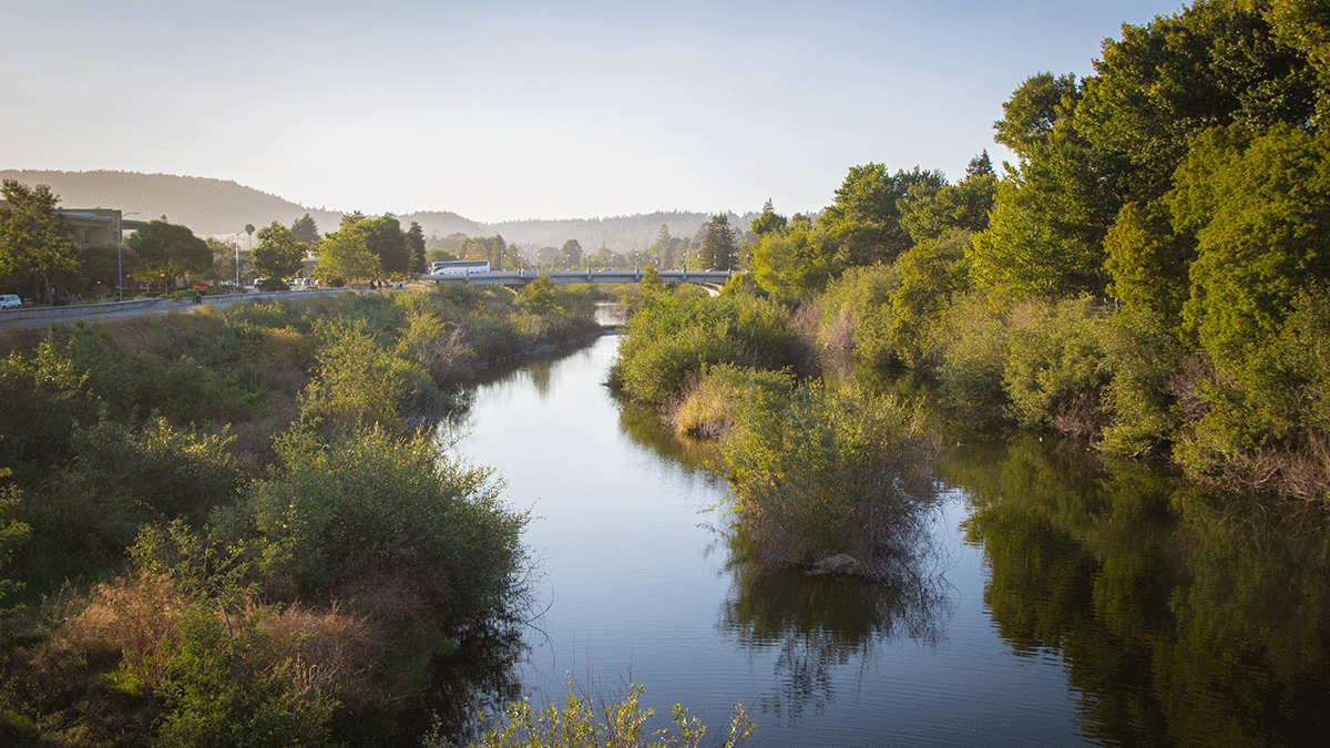 San Lorenzo River Santa Cruz