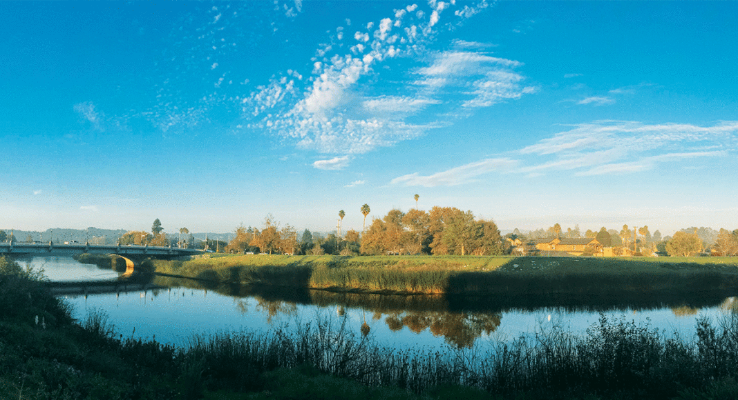 Ebb and Flow festival celebrates San Lorenzo River in Santa Cruz