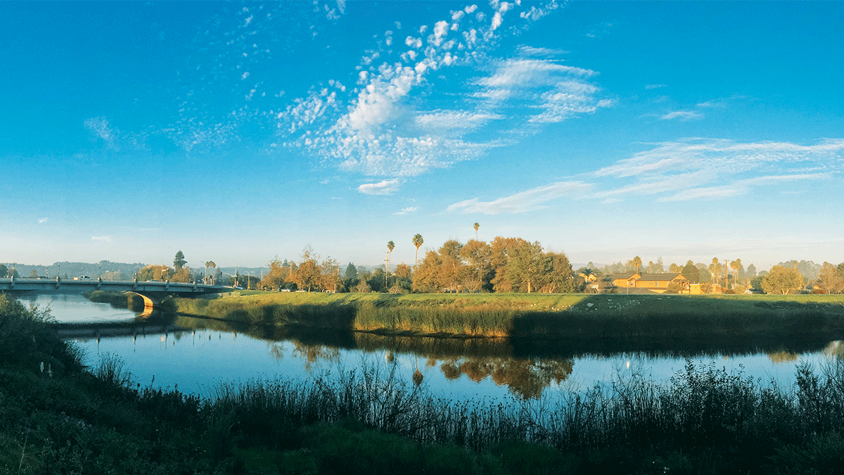 Ebb and Flow festival celebrates San Lorenzo River in Santa Cruz