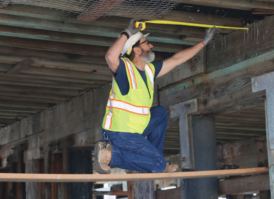 Santa Cruz Tries Curbing Bird Poop Near Cowell Beach Cowell Beach Bummers bird feces