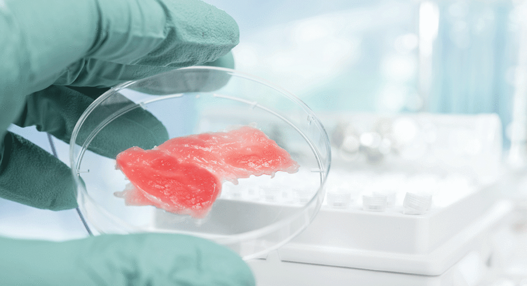 Cultured Meat, Lab Meat, Synthetic Meat