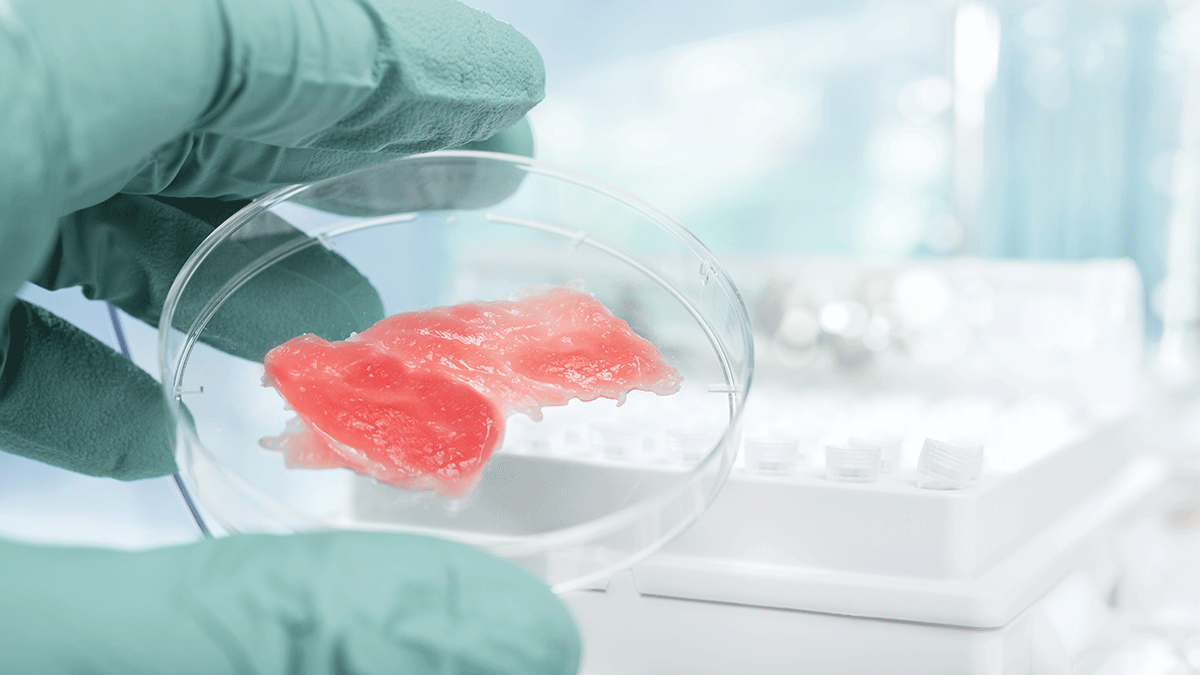 Cultured Meat, Lab Meat, Synthetic Meat