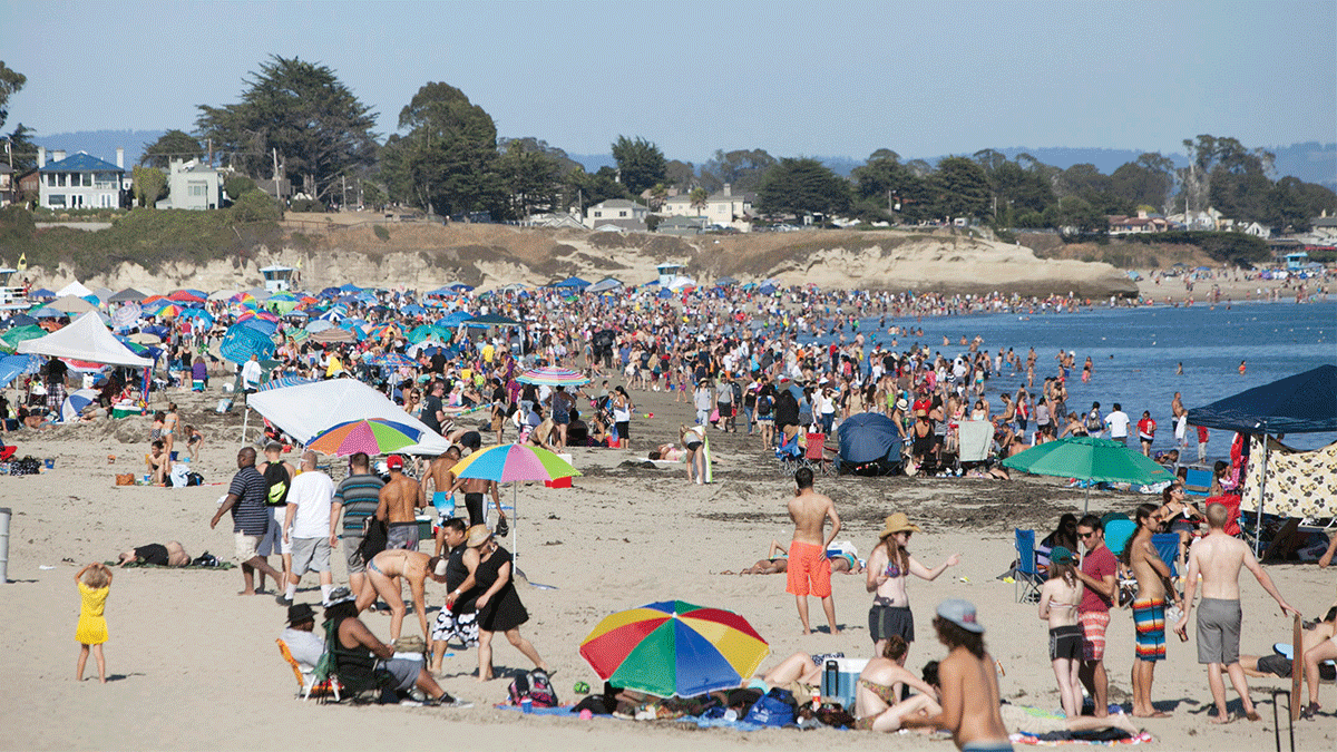 cowell beach