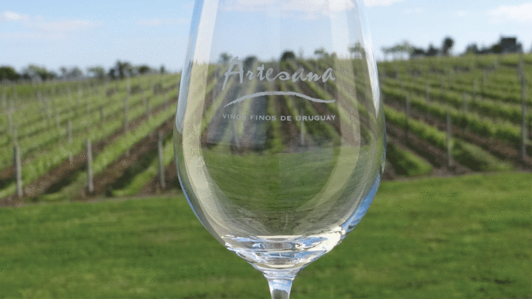 Uruguay’s Sustainable, Small-Production Winery