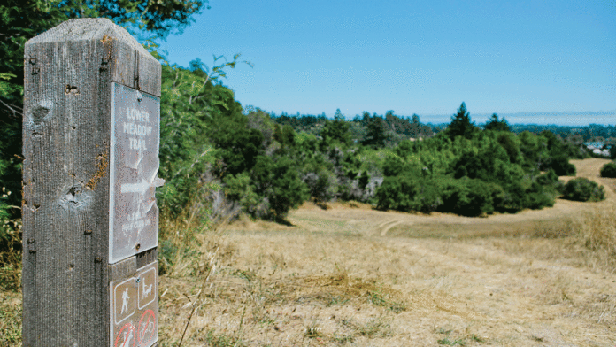 The Secrets of UCSCโs Trail System hiking ucsc pogonip