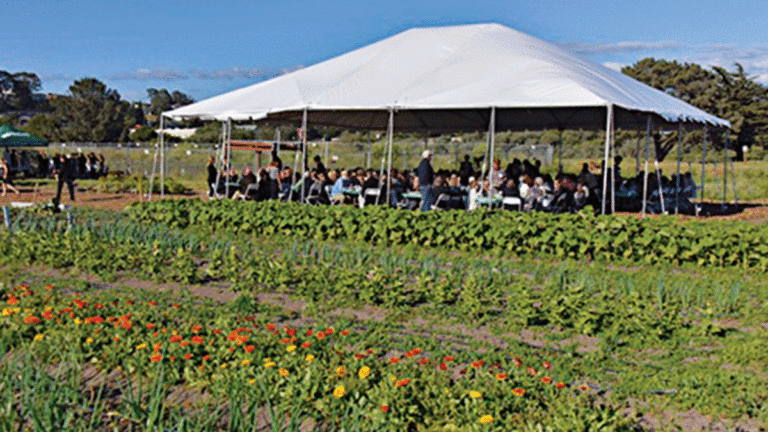 Autumn Sustain Supper Benefits Homeless Garden Project