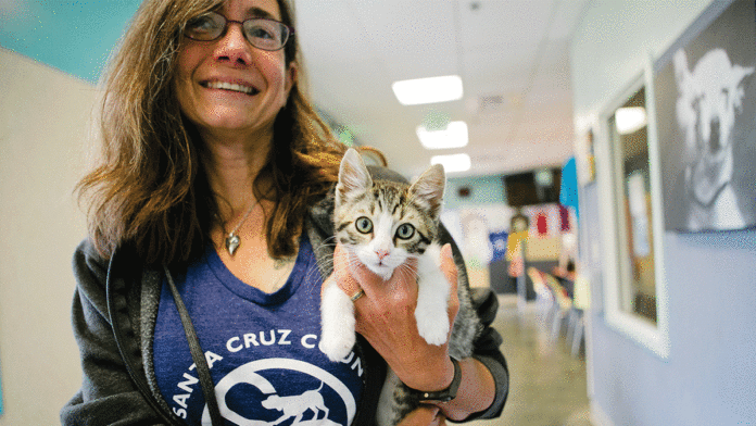 Kitten Flippers Take in Foster Cats foster cats kitten fostering santa cruz county animal shelter