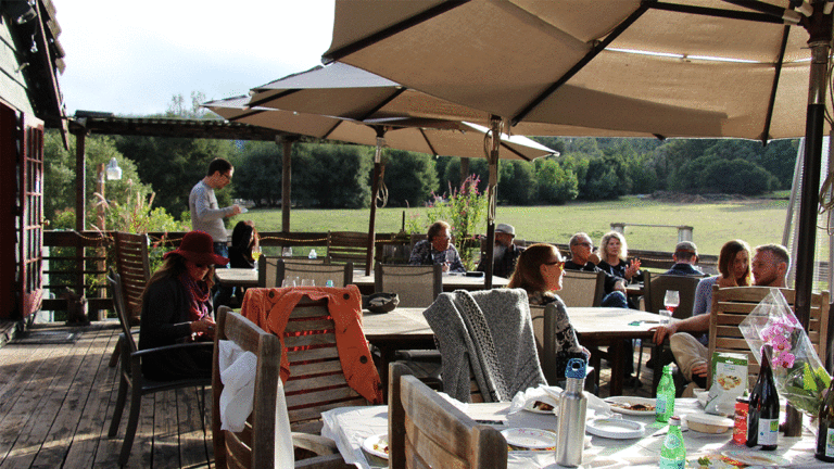 Hallcrest Vineyards’ Organic Line