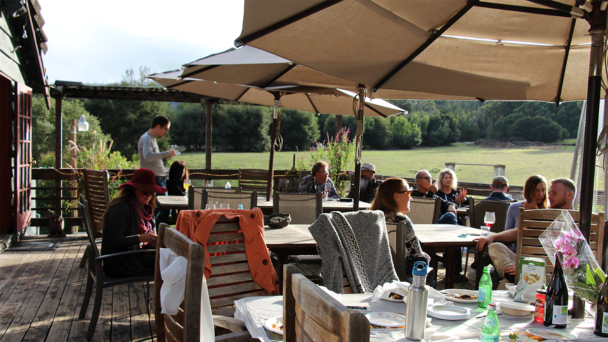 Hallcrest Vineyards Felton