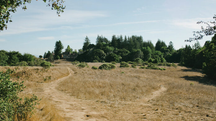 UCSC Expansion Meets Santa Cruz Housing Crunch