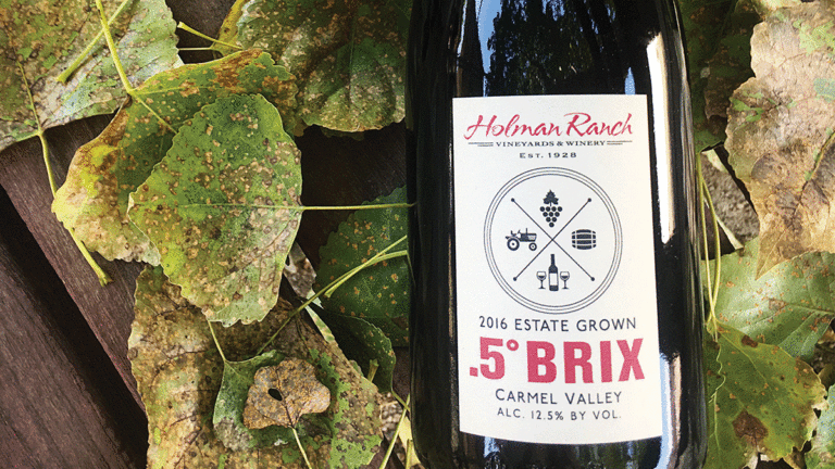Holman Ranch’s Lively Brix