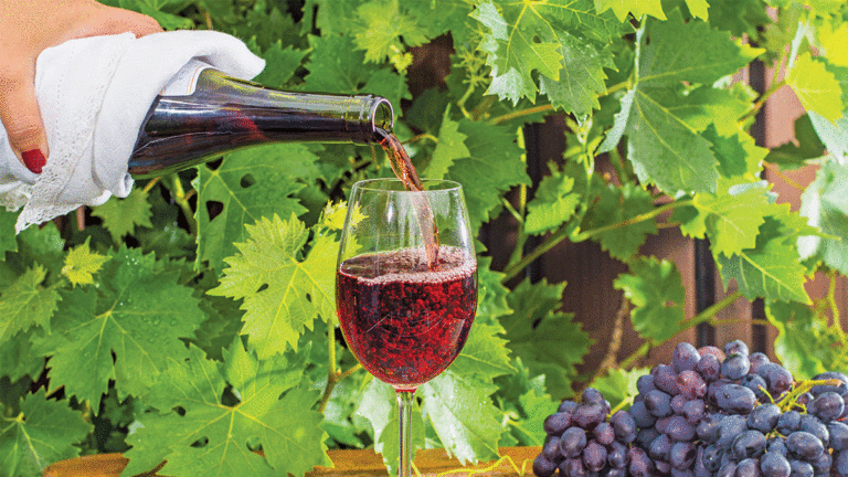 Muccigrosso Vineyards’ Pinot Noir 2010