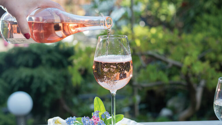 Paraiso Vineyards 2016 Rosé of Pinot Noir from Monterey Grapes