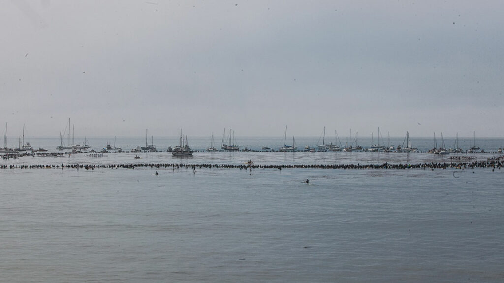 O'Neill paddle out world record