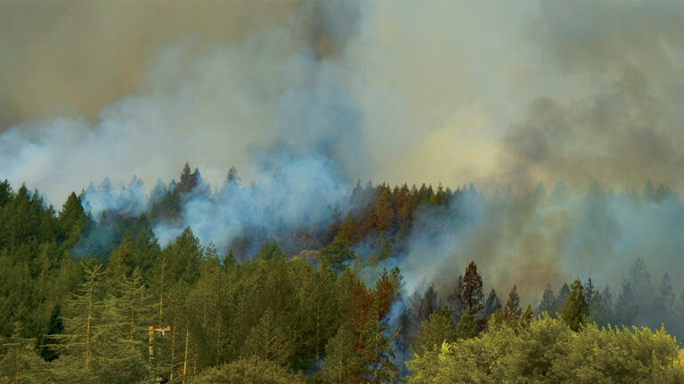 How Climate Change is Worsening California Wildfires