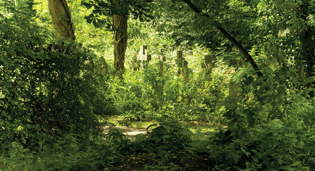 eco-friendly burial