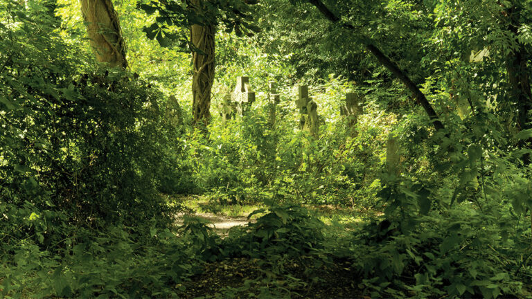 Eco-Friendly Burial Practices May Make Death Greener