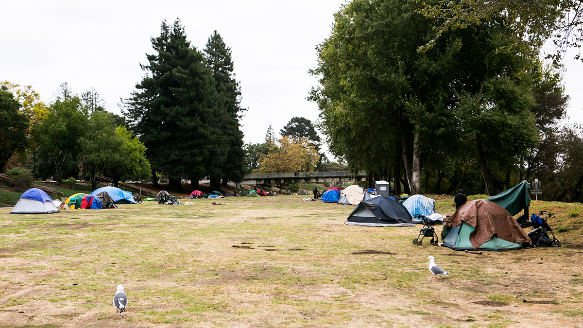 Homeless Camp in San Lorenzo Park Santa Cruz