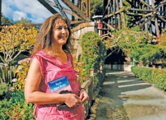 Dyane Harwood on Recovering from Postpartum Bipolar Dyane Harwood’s new book ‘Birth of a New Brain: Healing from Postpartum Bipolar Disorder’ chronicles her struggles with postpartum bipolar depression.