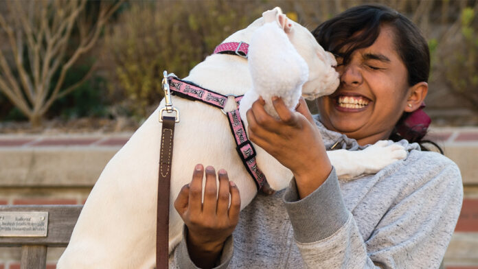 Santa Cruz Nonprofits Save and Transform Animalsโ Lives Santa Cruz nonprofits UnChained