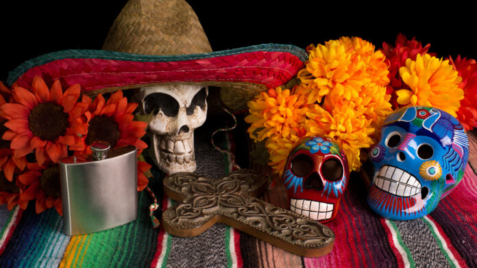 5 Things to Do in Santa Cruz Nov 1-7