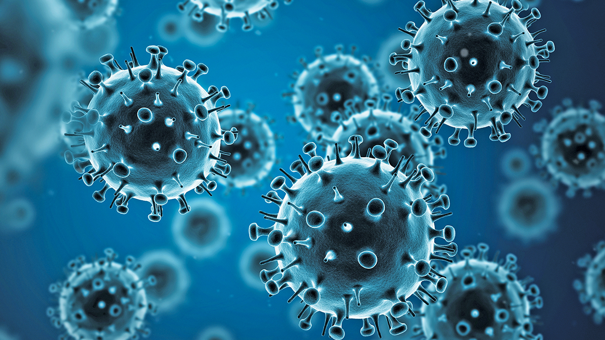 truth about the flu influenza virus up close