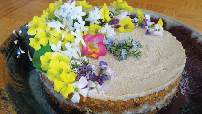 Vegan Chef Beth Love Takes On Healthy Dessert healthy dessert vegan dessert Beth Love