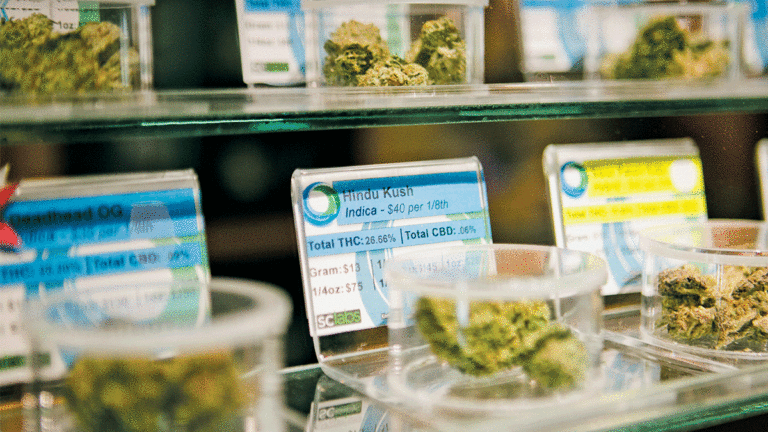 The Social Impacts of Legalized Cannabis