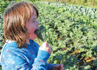Lending a Hand to Local Disabled Community santa cruz disabled community Shared Adventures UCSC Life Lab
