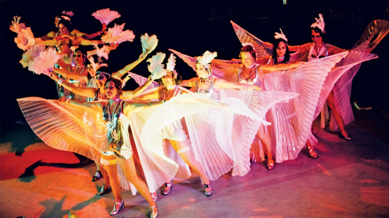 5 Things to Do in Santa Cruz Dec 13-19