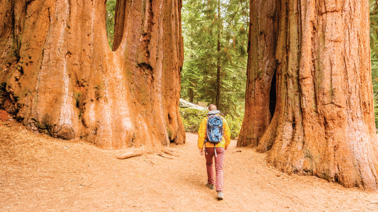 5 Things to Do in Santa Cruz Dec 20-26