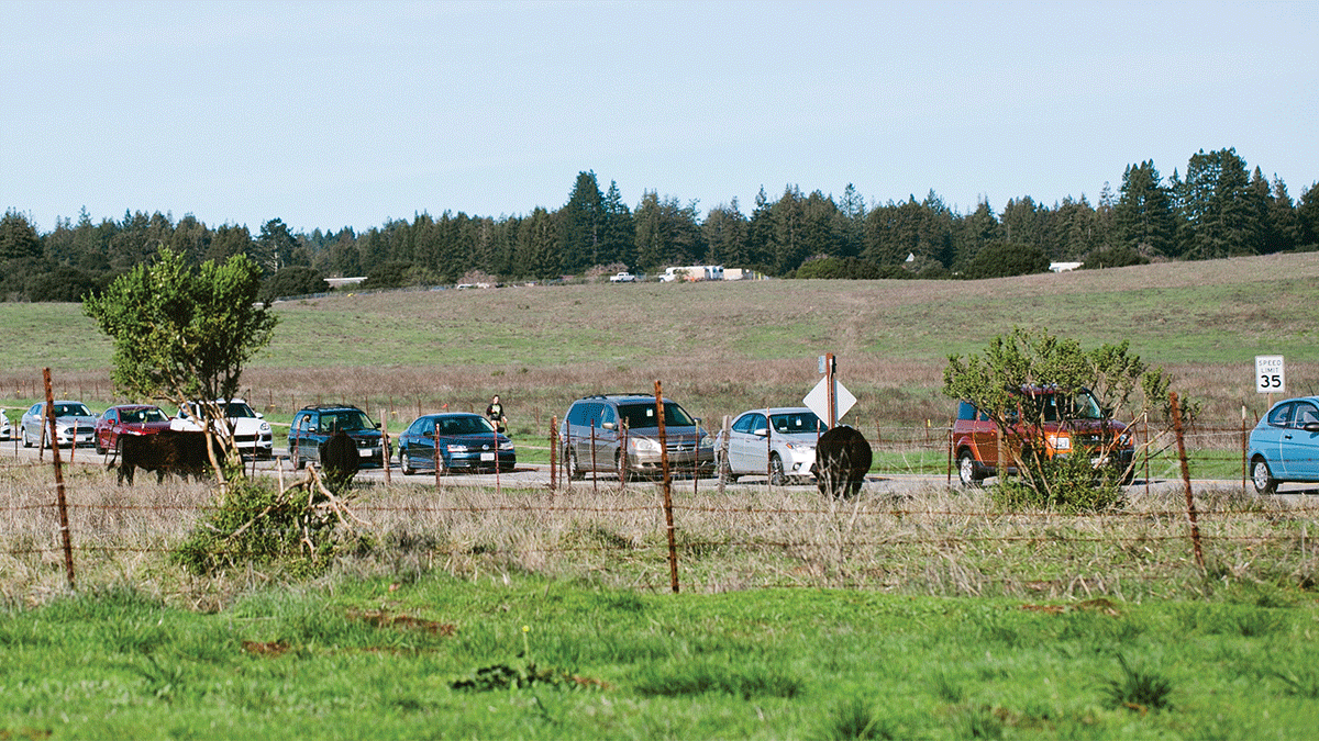 UCSC grows UCSC growing Santa Cruz chanellor blumenthal