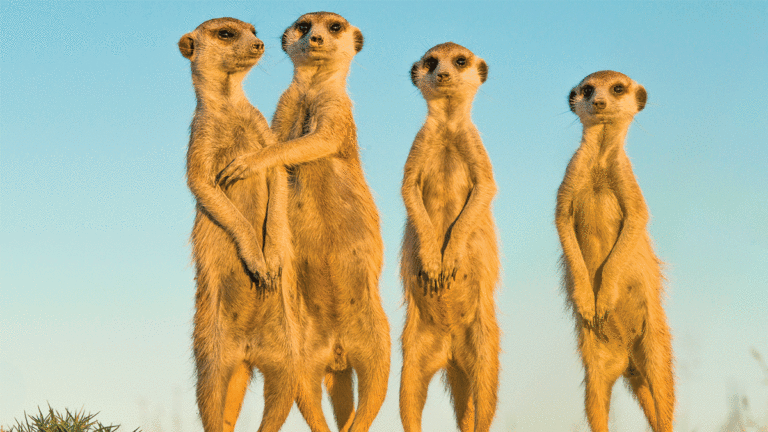 6 Things to Do in Santa Cruz Jan. 24-30