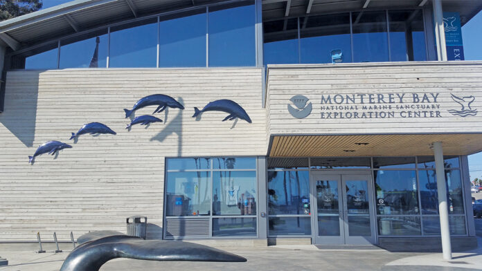 The Artist Behind the Exploration Centerโs Whale Installation Monterey Bay Marine Sanctuary Exploration Center art installation by Robert Seals