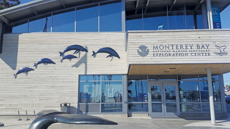 The Artist Behind the Exploration Center’s Whale Installation