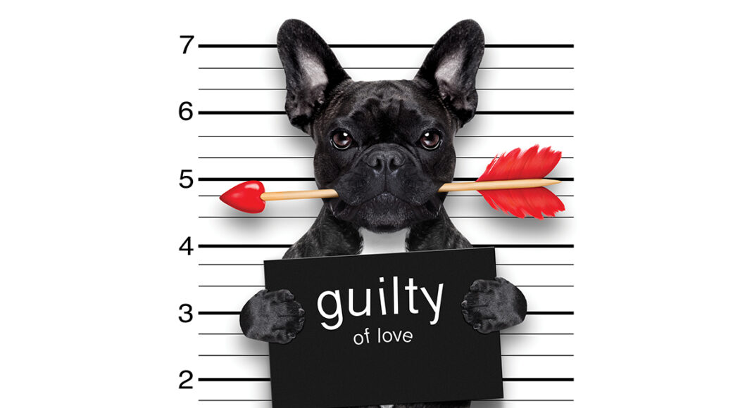 why we love our dogs