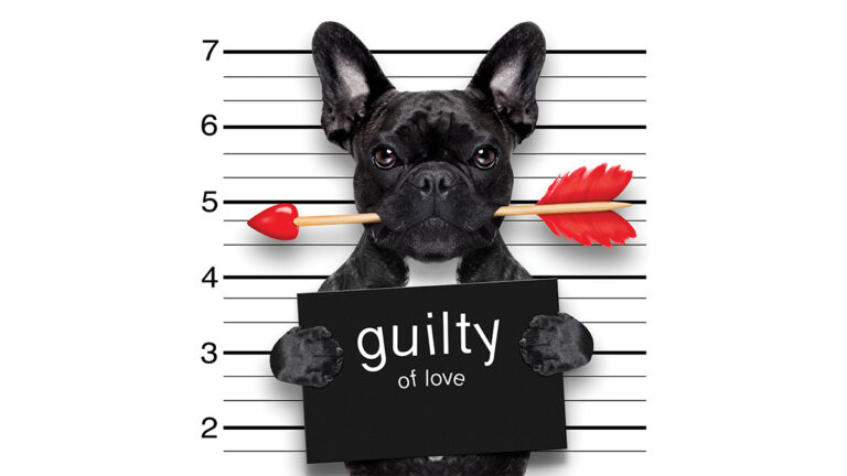 Why We Love Our Dogs