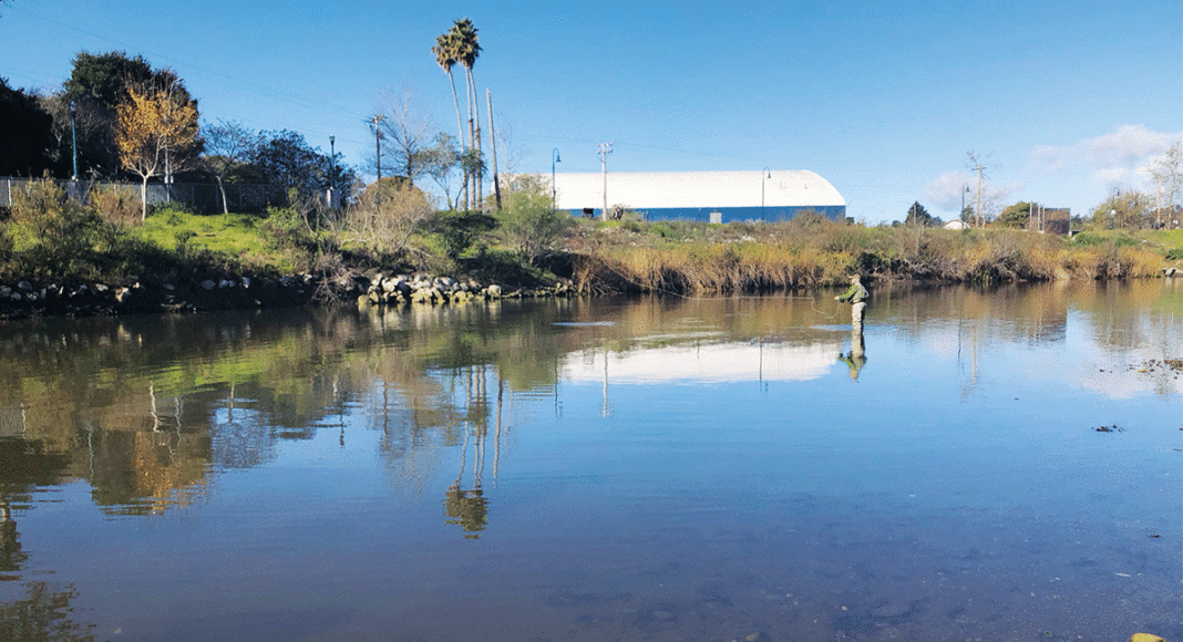 fishing San Lorenzo river Tom Hogye Buckeye Hole Santa Cruz