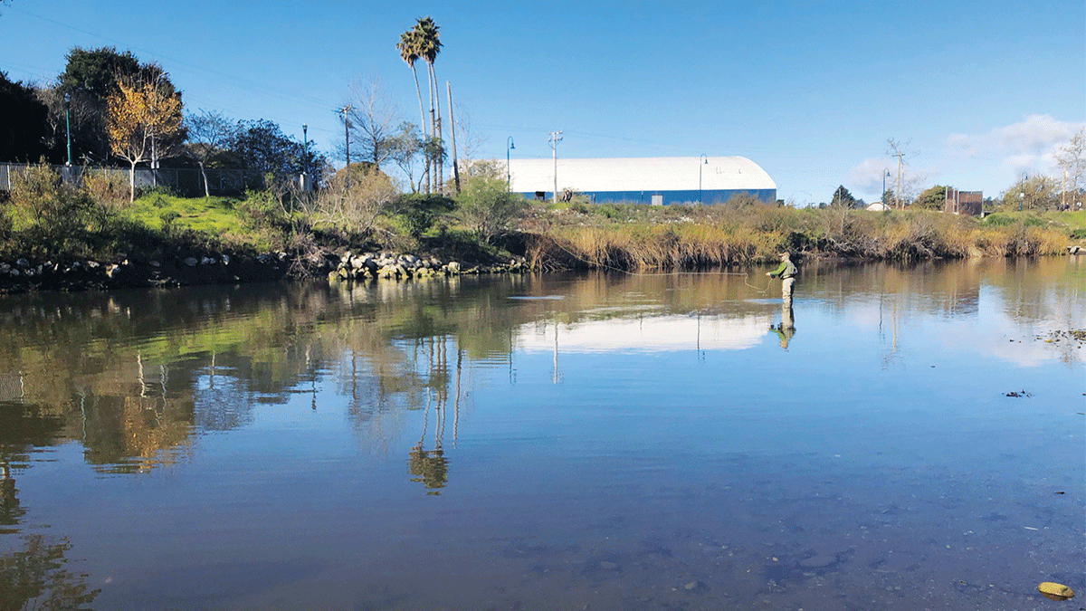 fishing San Lorenzo river Tom Hogye Buckeye Hole Santa Cruz