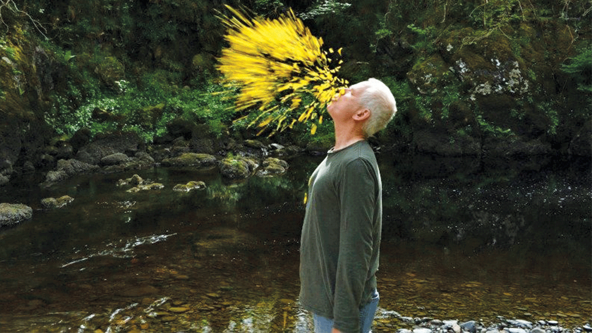 LEANING INTO THE WIND: ANDY GOLDSWORTHY
