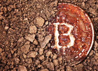 Bitcoin Probably Won’t Make You Rich Bitcoin