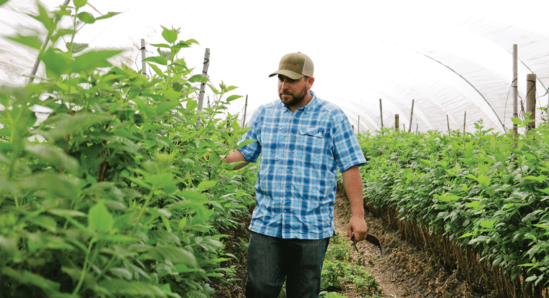 JJ Scurich, berry farmer, santa cruz county agriculture labor shortage