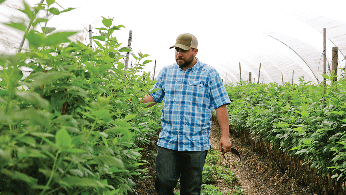 JJ Scurich, berry farmer, santa cruz county agriculture labor shortage