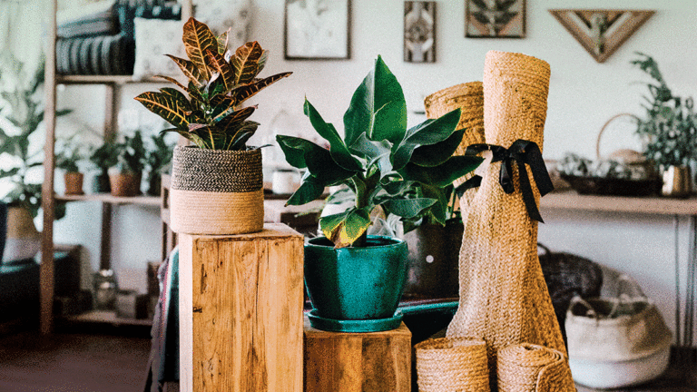 Home & Garden Magazine 2018