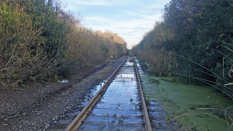 RTC on Verge of Approving Next Freight Operator