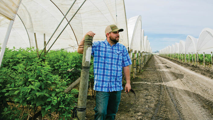 Opinion April 4, 2018