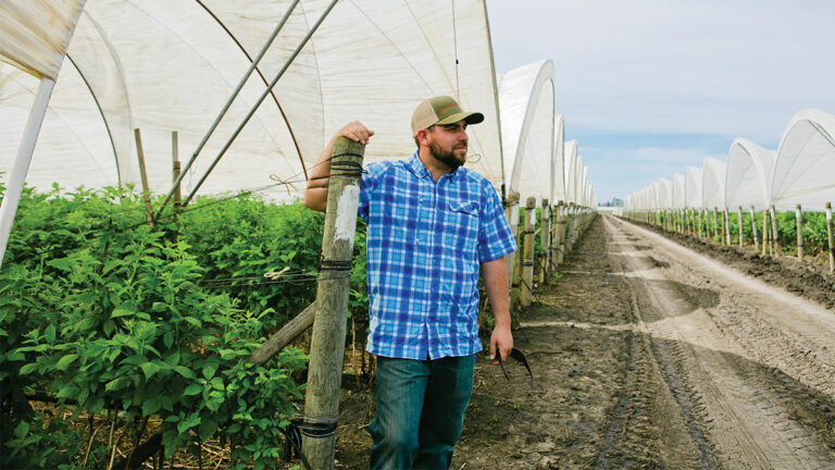 Opinion April 4, 2018