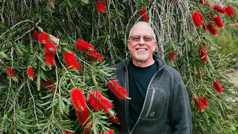 What Does the Future Look like for the UCSC Arboretum?